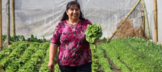 Programa de apoyo a la agricultura de MLP beneficia a más de 200 agricultores de Salamanca