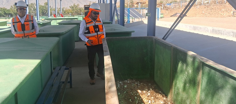 Minera Los Pelambres fortalece su estrategia de economía circular: puso en marcha una planta de compostaje